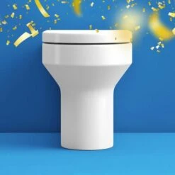 Orchard Wharfe Back To Wall Toilet With Soft Close Toilet Seat