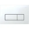 Geberit DELTA51 Alpine White Dual Flush Plate DELTA 51 UP100 Concealed Cisterns