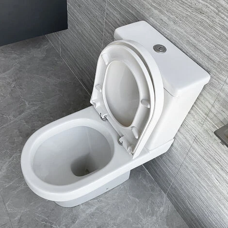 Close Coupled Toilet Ceramic Pan Cloakroom Soft Close Seat WC Modern - Image 2
