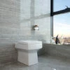 BTW Square Toilet Back To Wall Ceramic Pan Cloakroom Soft Close Seat Bathroom WC Modern