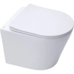 Swiss Aqua Technologies Infinitiorimless Wall-hung Toilet With Invisible Fixings + Softclose Seat (Infinitiorimless)
