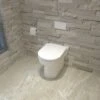 Back To Wall Toilet Ceramic Pan Cloakroom Soft Close Seat Bathroom WC Modern BTW