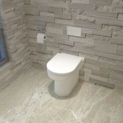 Back To Wall Toilet Ceramic Pan Cloakroom Soft Close Seat Bathroom WC Modern BTW
