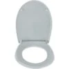 WOLTU Quick Release WC Toilet Seats Soft Close Slow Hinge Attached For Family Bathroom Grey