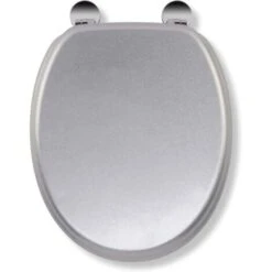 Croydex Flexi-Fix Quartz Top & Bottom Fix Toilet Seat, Silver