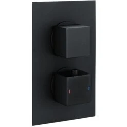 Morval Concealed Valve Single Outlet Square Black (Cvp02K)