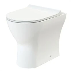 Rimless D Shape Back To Wall Toilet Pan With Soft Close Seat