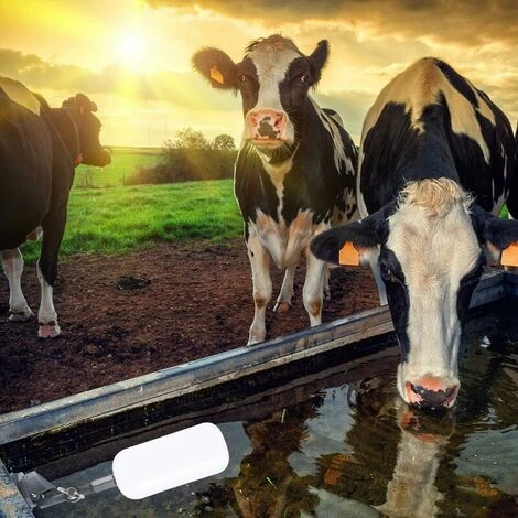 Pieces Water Ball Float Reliable Close 1/2 Inch Fill Humidifier Water Tank, Plug Valve - Image 5